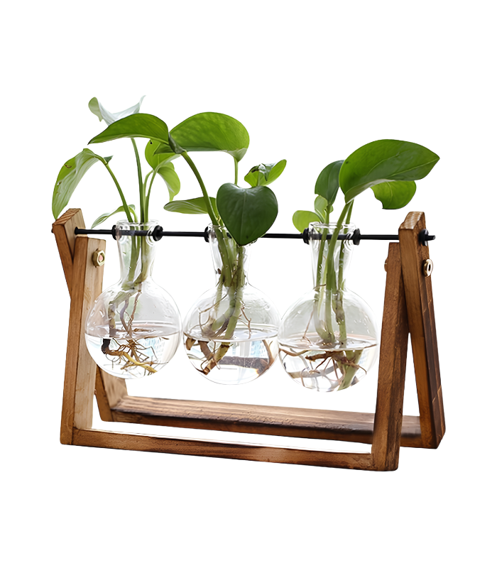 26 Plant Terrarium with Wooden Stand - Image 1